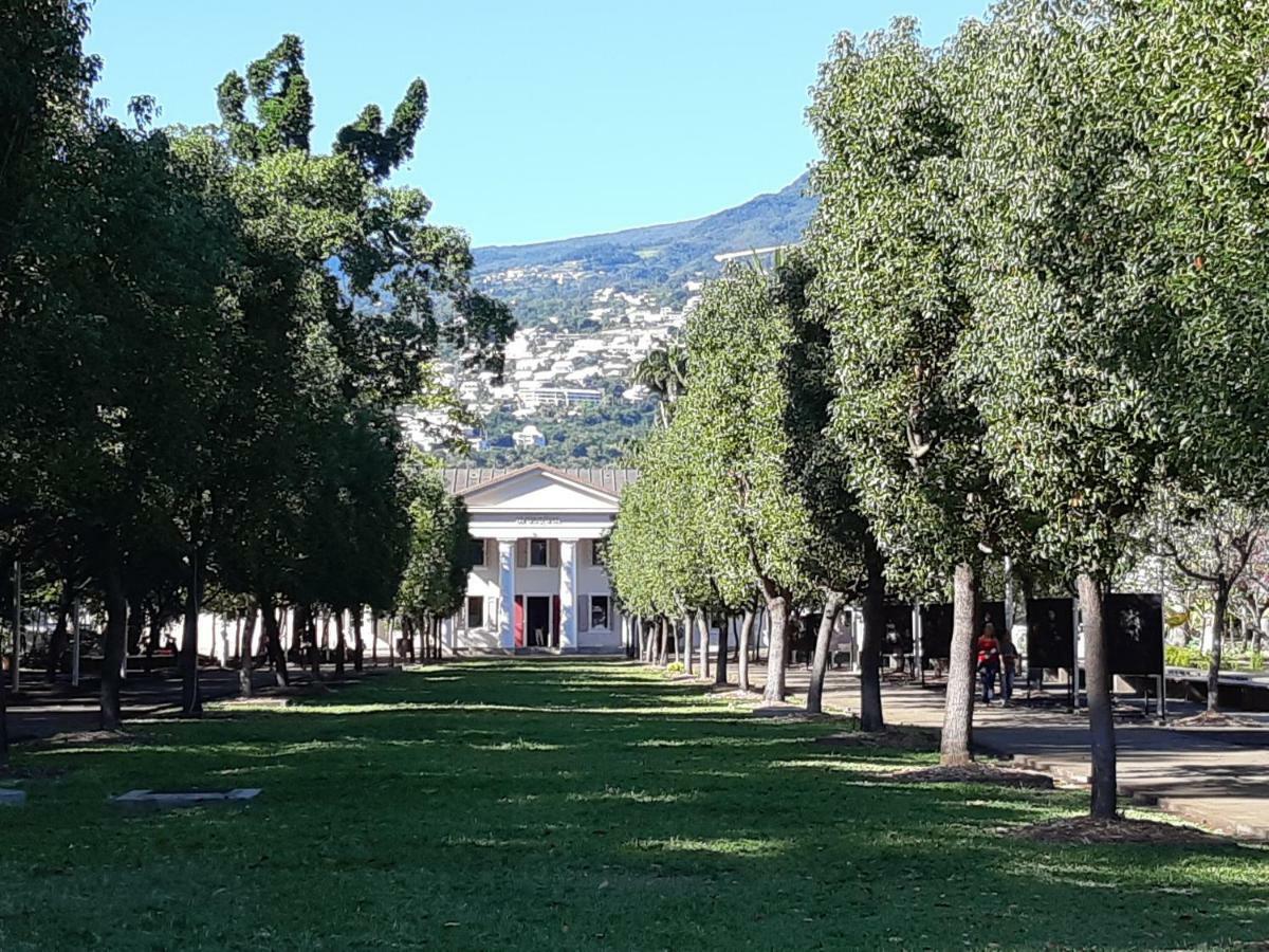 L'Escale Des Palmiers Daire Saint-Denis Dış mekan fotoğraf